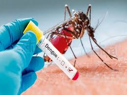 ÍNDICE DE INFESTAÇÃO DO MOSQUITO DA DENGUE EM CAMPO MOURÃO É DIVULGADO ÍNDICE DE INFESTAÇÃO DO MOSQUITO DA DENGUE EM CAMPO MOURÃO É DIVULGADO