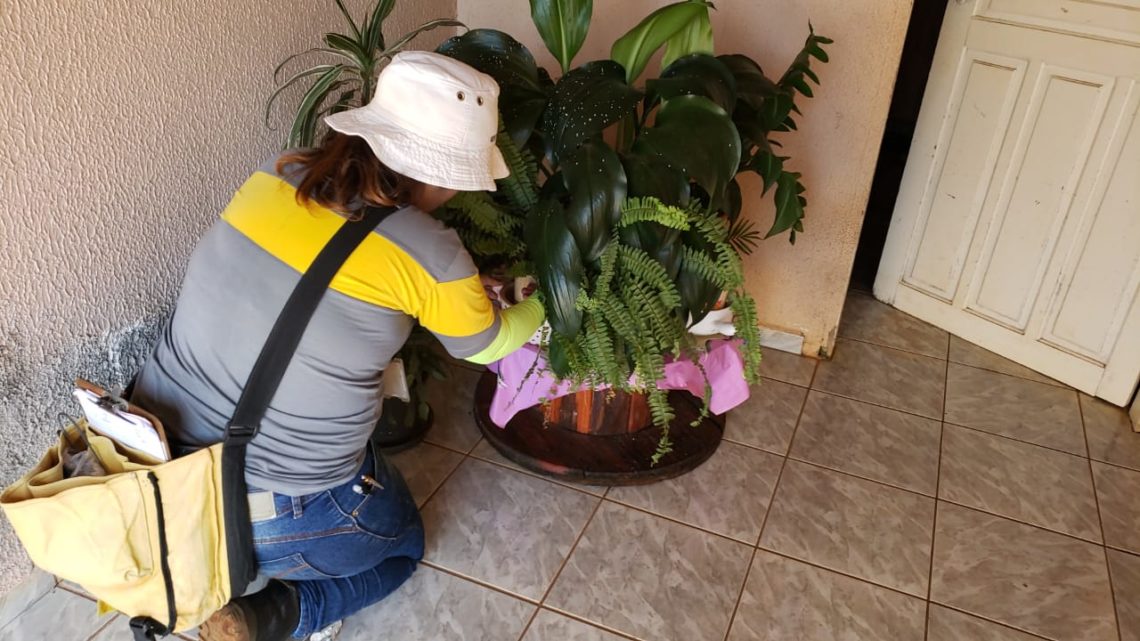 Mutirão de combate a dengue neste sábado, dia 18 Mutirão de combate a dengue neste sábado, dia 18